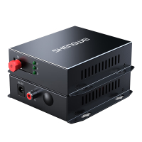 胜为音频光端机1路单向 FC接口 广播工程级光纤收发器转换器莲花头音频转光纤延长器 BGDJ01A0G