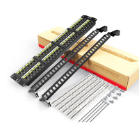 胜为NDF-648 六类千兆网络配线架 工程级 48口 2U机架式高端30U镀金非屏蔽6类机柜网线配线架