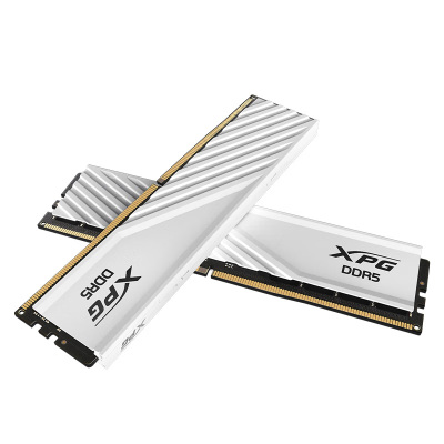 威刚(ADATA)32GB(16GBX2)套装 DDR5 6000 台式机内存条 M-die D300(白色)C30