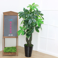 仿真绿植 1.2米两叉发财(含盆送草)