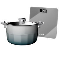 金嫂子(KSISE) 时来运转·称心得意两件套5L大容量汤锅+体脂秤套装 KST24039T2