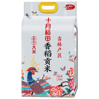 十月稻田 香稻贡米5kg 东北大米 香米 诚 十斤