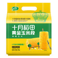 十月稻田 黄金玉米段8段 800g 东北黄糯玉米 23年黏糯玉米棒 低脂杂粮