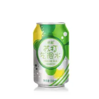 依能 苏打水饮料 果味无糖碳酸饮料 柠檬味330ml*24罐装