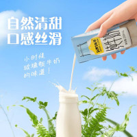 认养一头牛 全脂纯牛奶250ml*12盒*2提 营养早餐纯奶