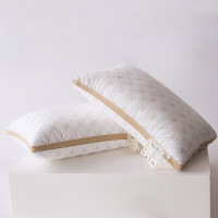 红豆家纺HODO-舒适刺绣枕全棉(填充羽丝棉)48x74cm