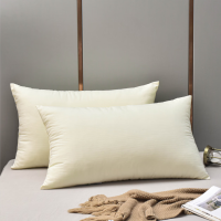 红豆家纺HODO-闪净健康枕防污面料(填充羽丝棉)48x74cm