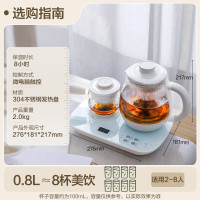 小熊(Bear)煮茶壶 0.8L蒸汽喷淋式蒸茶壶养生壶电水壶304不锈钢 ZCQ-A08E1