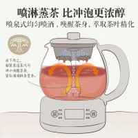 小熊(Bear)煮茶器 喷淋式养生壶家用办公室 恒温电水壶 米色(微电脑款)ZCQ-A10W5