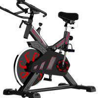 勒德威 动感单车 室内健身锻炼自行车脚踏车 K710