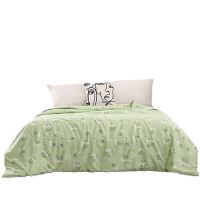 洁丽雅Grace水洗夏被-清风夏日