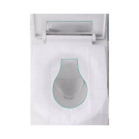 一次性马桶垫坐便垫旅行可溶水孕妇马桶套坐垫纸马桶贴250抽单位:包