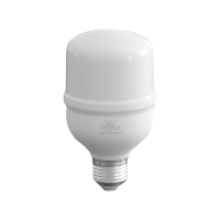 LED灯泡5W 节能灯泡