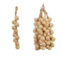 墙面装饰白大蒜一串