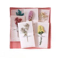 欢迎卡[通用] 干花ins风 8个