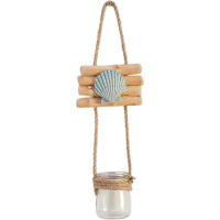 绿植墙兰贝壳一杯