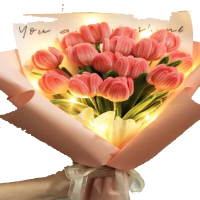 扭扭棒diy材料包花束编织制作 [渐变粉]郁金香材料包 可做15