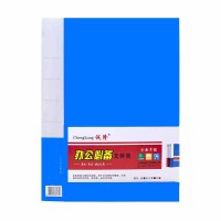 诚隆A4资料册文件活页收纳册文件夹 学生试卷收纳袋奖状文件保护插页文件袋 蓝色 8040(40页)资料册