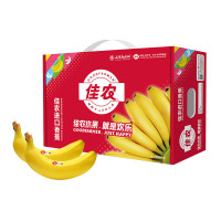 佳农进口单根香蕉 礼盒装
