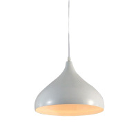 餐厅灯哑白1头 送E27球泡5W暖光