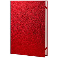 朗诵夹一个opp袋,一本证书,两张内页