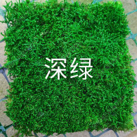 青苔 苔藓永生白发(深绿) 单位:平方米
