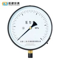 匡建仪表(CONJANT)Y-200压力表直径200mm M20*1.5螺纹径向安装0-1.6mpa 1