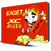 忆捷(EAGET)手机存储卡监控摄像内存卡TF卡高速行车记录仪sd卡c10高速卡 256GB