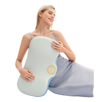 SKG 颈椎枕护颈P1系列1代 标准款