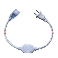 灯带接头 插头两针