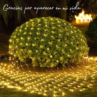 网网灯 24V3*2暖色