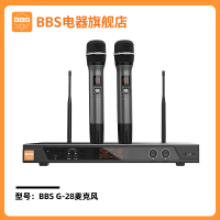 无线话筒一拖二专业家庭KTV卡拉OK专用麦克风手持舞台演出主持