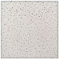 晋集 矿棉吸音板 厚度14mm 603cm*603cm