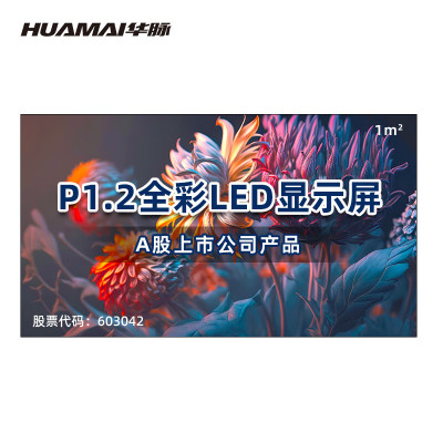 华脉/HUAMAI HM-DEP1.2-X 全彩色显示屏 室内 1㎡