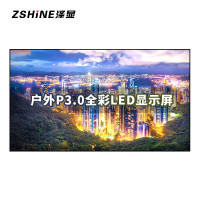 泽显/Zshine LC-P3.0-T 全彩色显示屏 室外 100*100cm