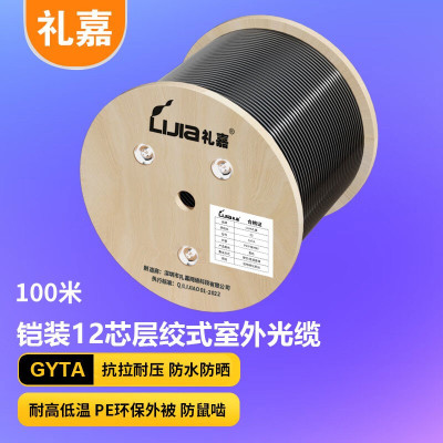 礼嘉/LIJIA LJ-GYTA-12SW1 光缆 100 双屏蔽 环保pvc网线光缆