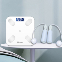 古菲斯(Gufius) 燃脂套装 S1