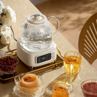 德世朗玻璃恒温花茶壶 养生壶电热水壶DDQ-SH231