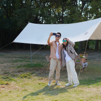 大迈星际漫步天幕-DM-1012L