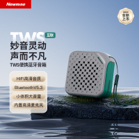 纽曼 PBS001-TWS 蓝牙音箱PBS001-TWS