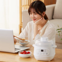 猫非猫 厨邦营养炖盅 MFM-DZ001