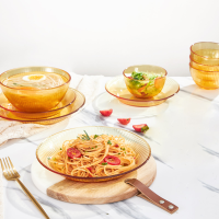 康宁(VISIONS) SNAPWARE 晶尊系列餐具10件组(4饭碗1面碗3小盘2大盘) SNAMD10/KZYL