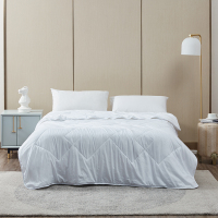 LOVO 佳美抗菌蚕丝被-VQS-2020-5