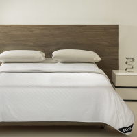 BOSS HUGO BOSS 桑蚕丝抗菌纤维被-HBCS-011