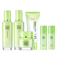 百雀羚个护套装3(护肤6件套+面膜2盒)
