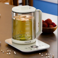 小鸭 玻璃养生壶迷你家用煮茶器多功能养生壶WXY-YH05H!