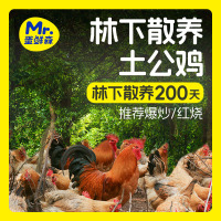 蛋鲜森 林下散养土公鸡 散养200天土公鸡 1kg±100g/只真空净膛 1000g/只!