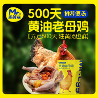 蛋鲜森 500天黄油老母鸡 [养足500天 油黄汤也鲜] 1350g±100g/只!