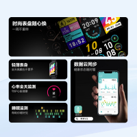 SKG 运动健康手环V3 1代标准款!