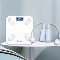 古菲斯(Gufius) 燃脂套装 S1!